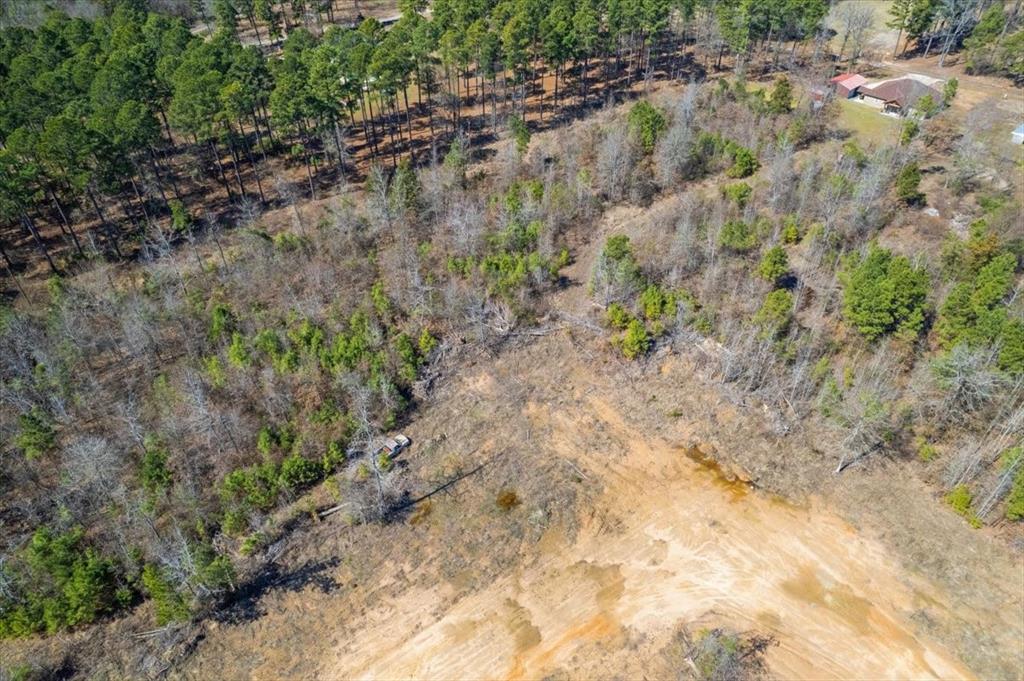 Piney Woods Estates - Land