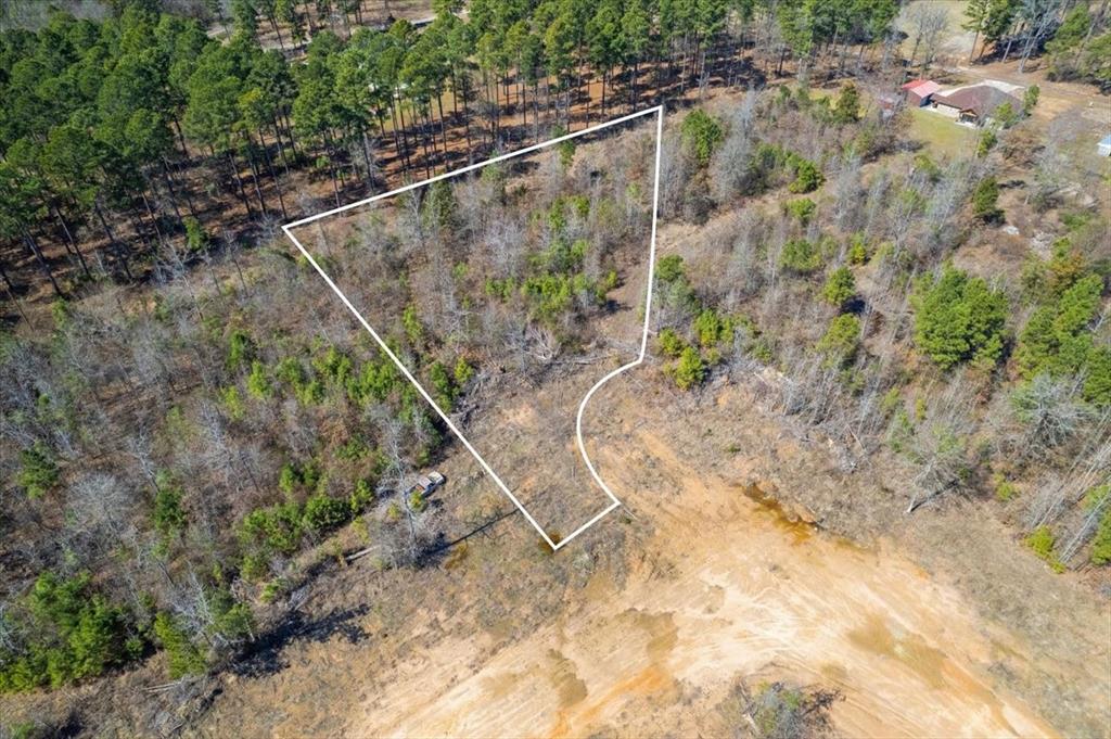 Piney Woods Estates - Land