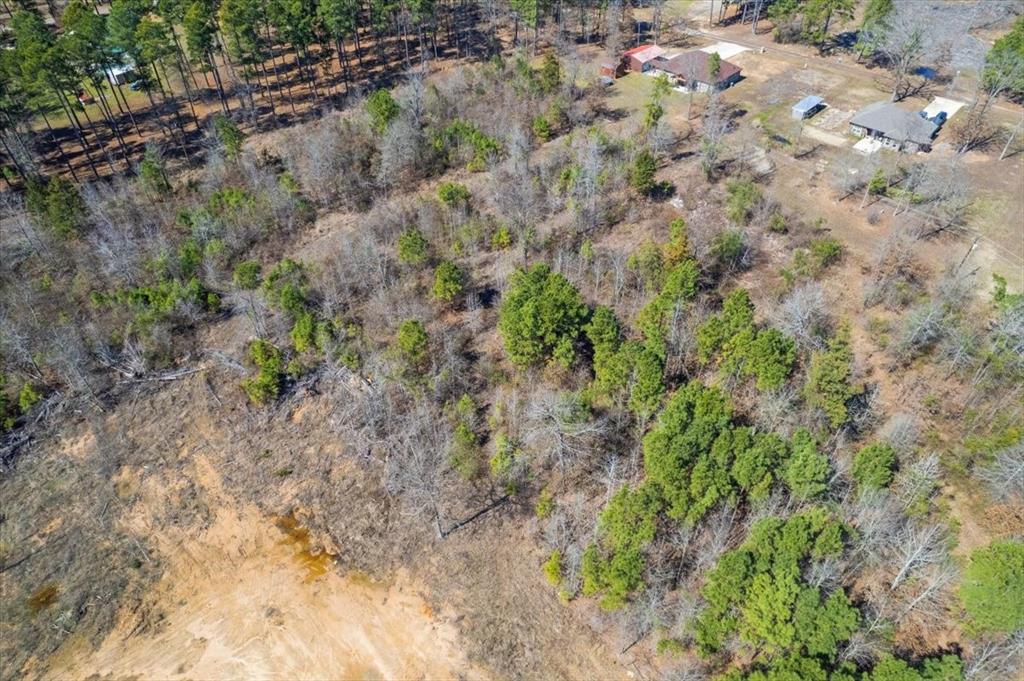 Piney Woods Estates - Land