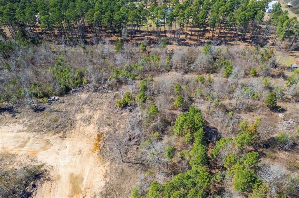 Piney Woods Estates - Land