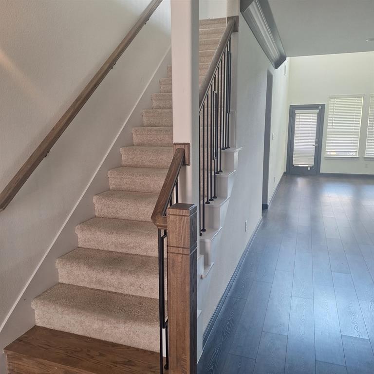 1100 Stallion Lane