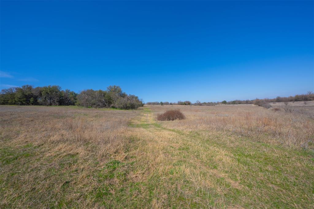 Willow Creek Farms LLC - Farm