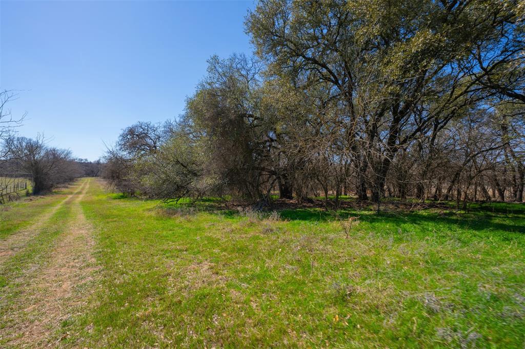 Willow Creek Farms LLC - Farm