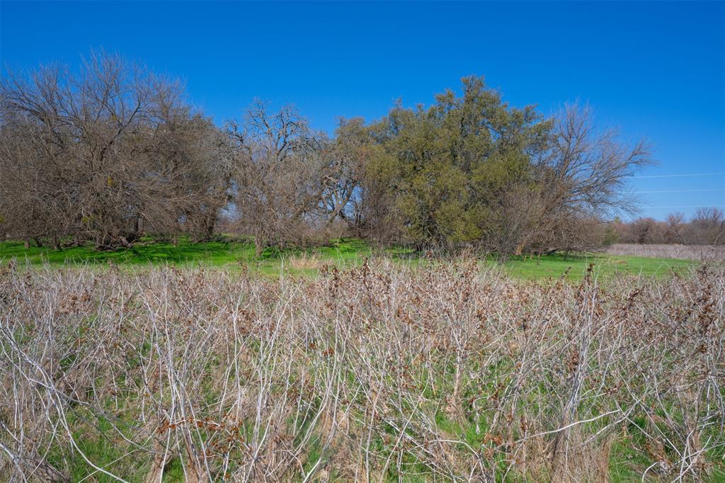 Willow Creek Farms LLC - Farm