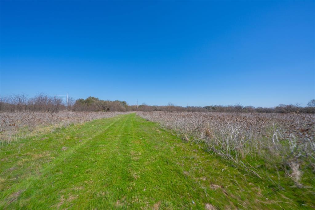 Willow Creek Farms LLC - Farm