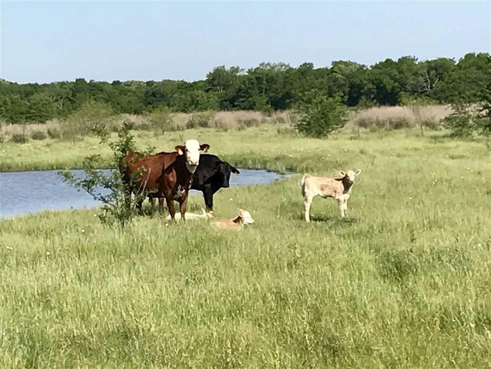 J BOWLIN, TRACT 15.00 - Land