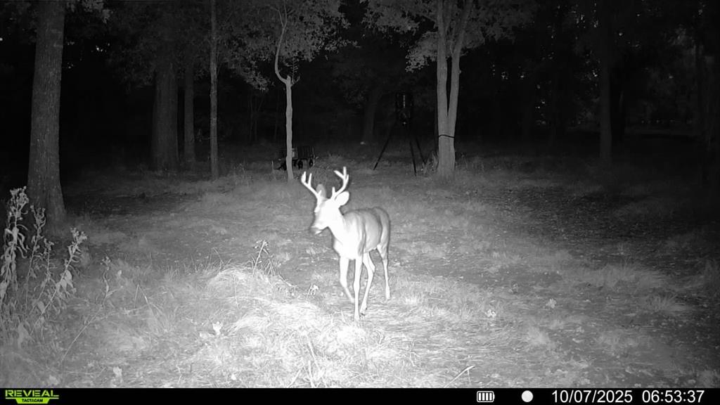 Mankin Estate - Residential