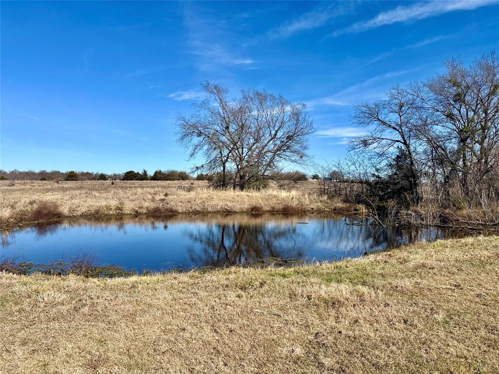 TBD County Road 1043 Lot 6