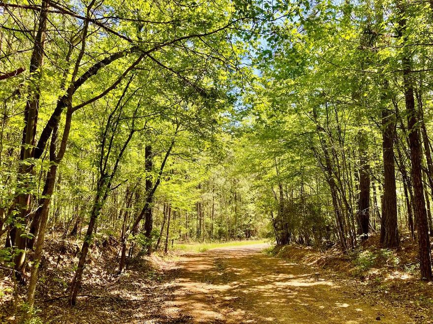 Located just seven miles northeast of Minden, E-2 is a 36-acre tract, part of the Southern Fuller Cemetery Tract, which offers an exceptional opportunity for first-time buyers, investors, and outdoor enthusiasts alike. With a beautiful rolling slope and a mature mix of hardwoods and pine, this property provides a peaceful setting ideal for building a dream home, creating a private weekend retreat, or developing for long-term value. The land features established trails and an abundance of wildlife, making it a great option for hunters or anyone who appreciates the outdoors. A dedicated easement will be provided for access, offering both convenience and privacy. Whether you’re looking to build, invest, or simply enjoy your own secluded piece of Louisiana, this tract is priced to sell and full of potential. Half of the minerals will be transferred to the buyer at closing. Don’t miss your chance to explore and envision the possibilities.