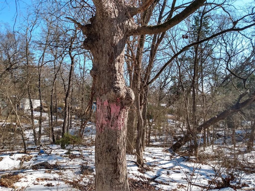 Lake Crockett Add - Land