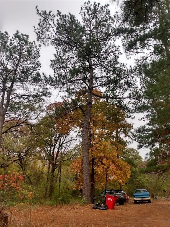 TBD James Fannin Road