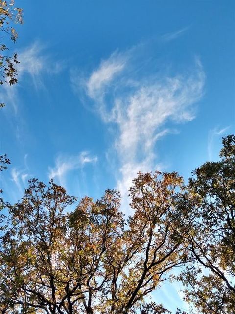 TBD James Fannin Road Honey Grove TX 75446