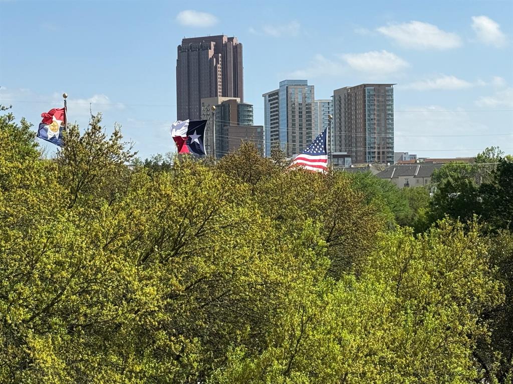 Twenty-One Turtle Creek Condo - Residential