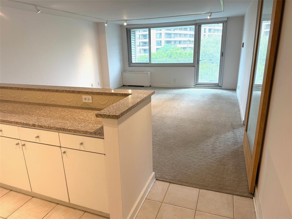 Twenty-One Turtle Creek Condo - Residential