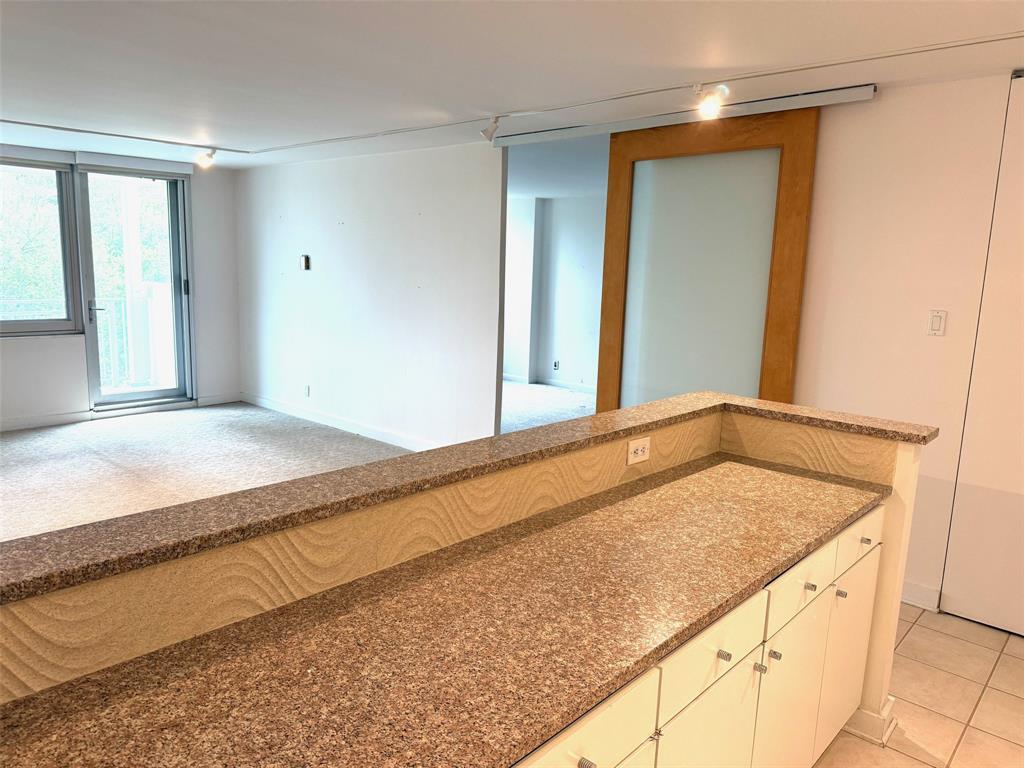 Twenty-One Turtle Creek Condo - Residential