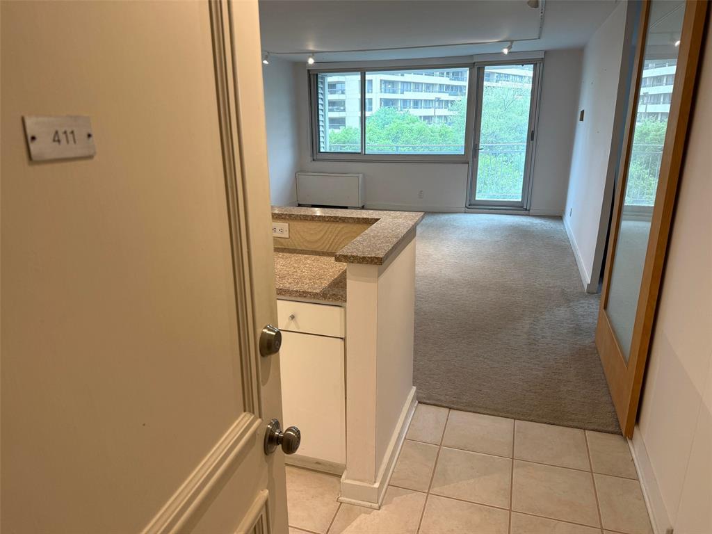 Twenty-One Turtle Creek Condo - Residential