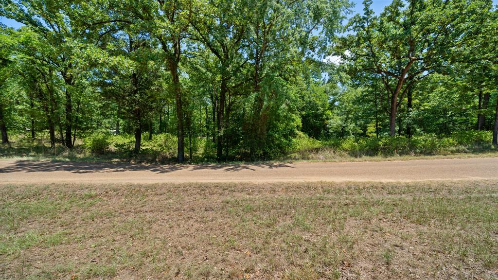 0 Hickory Street Lot 90 - Photo 3