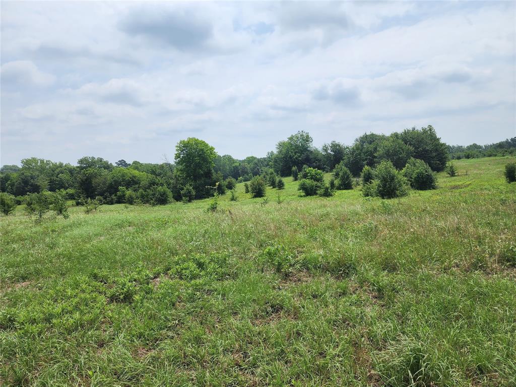 Mineola Townsites - Land