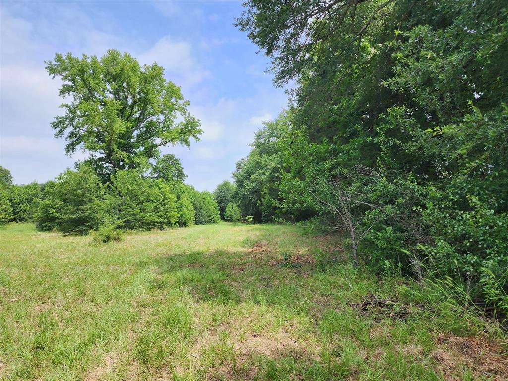 Mineola Townsites - Land