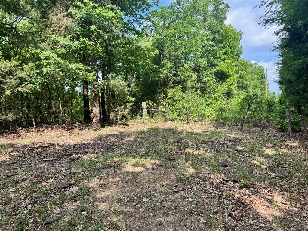 TBD County Road 2415