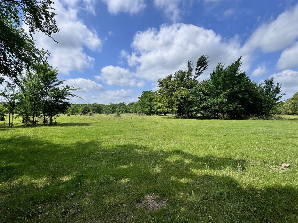 TBD County Road 2415