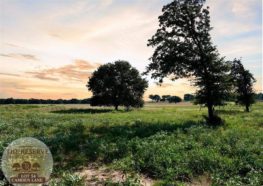 The Reserve at Taylor Ranch - Land