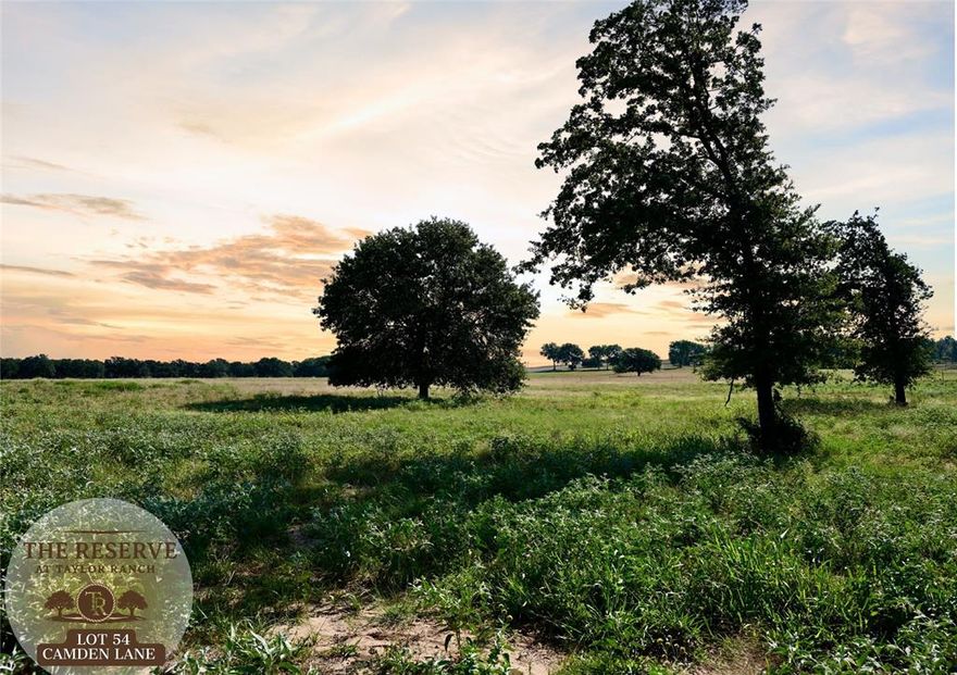 Welcome to The Reserve at Taylor Ranch, Your Private Slice of Parker County Paradise. This lot features a turn key lot that has been selectively cleared ensuring beautiful and well manicured oaks remain. Pad is Ready for your build project! Nestled in the quiet countryside of Springtown and within the coveted Weatherford ISD, offering a rare opportunity to own acreage tracts that balance privacy, beauty, and freedom, all just minutes from town. Ranging from hilltop parcels with sweeping views to shaded, wooded retreats;  each one unique and full of potential. With rolling topography that rises nearly 90 feet, the backdrop is breathtaking, offering unforgettable Parker County sunsets and a peaceful rhythm of life that feels miles away from the noise, yet only 20–25 minutes from Weatherford and close to Springtown’s local dining, shopping, & amenities. The Reserve is a true escape, a neighborhood that prioritizes privacy, space, & quality. Build your dream home on your timeline with deed restrictions, no HOA, and the freedom to create a lifestyle that suits you. Enjoy underground electricity, no water bills, well and septic-ready lots, & Next Link Fiber Optic Connectivity, all while being nestled in a quiet community. It’s the kind of place where neighbors wave, stars shine brighter, and the land works with you, not against you. The Reserve at Taylor Ranch isn’t just a place to live, it’s a place to belong. Evenings here feel like stepping back in time, where you can wander under wide Texas skies, catch lightning bugs in the dusk, and enjoy the kind of quiet that lets you hear the breeze through the trees. This is your invitation to slow down, spread out, and savor the simple moments. Come walk the lots, take in the views, and imagine the possibilities. New single-family construction must have a minimum of 1,700 square feet. No Barndominiums.
