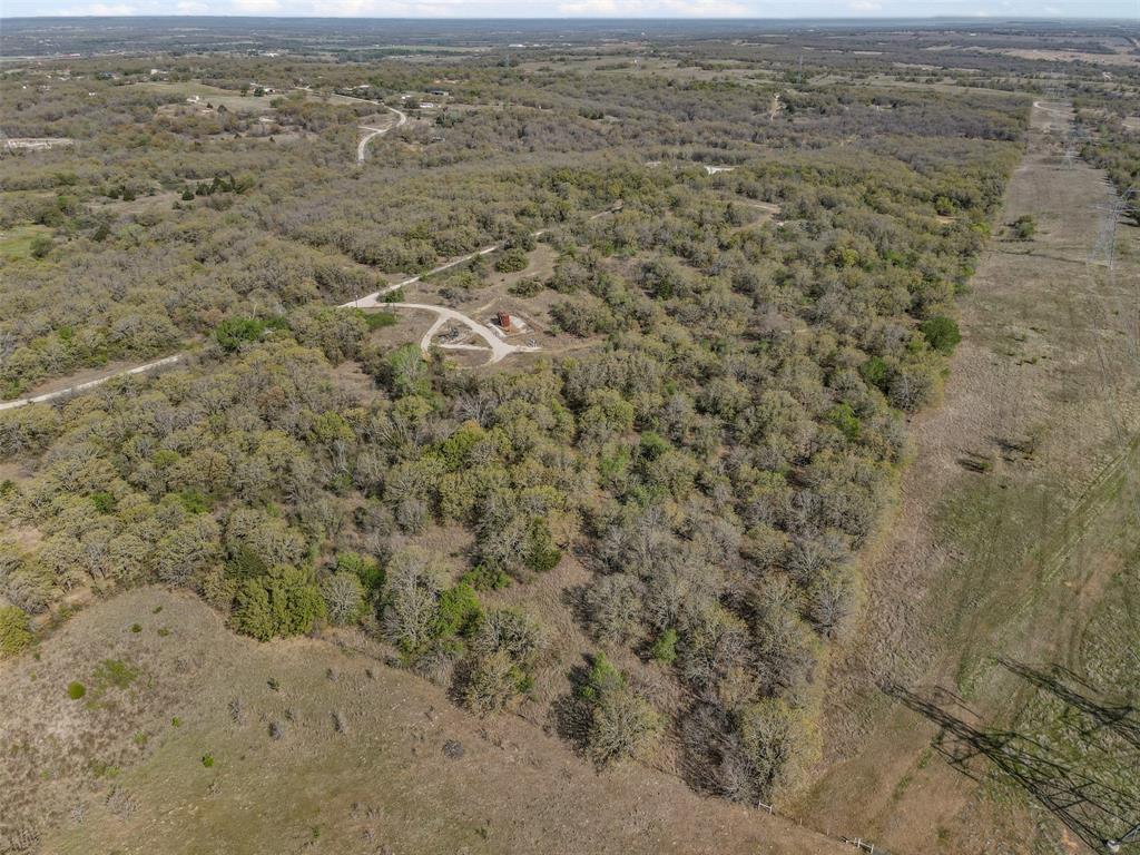 T Denson Surv Abs # 239 - Land