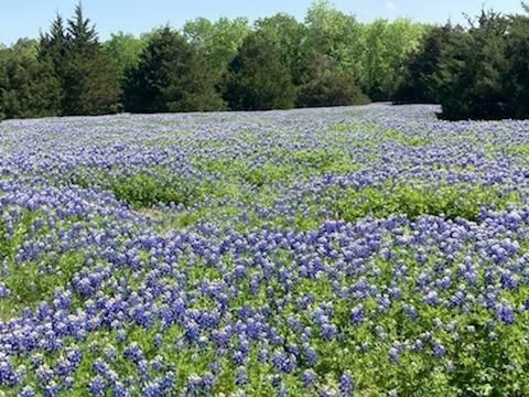Photo of 821 Ewing Road, Ferris, TX 75125 (MLS # 21260471)