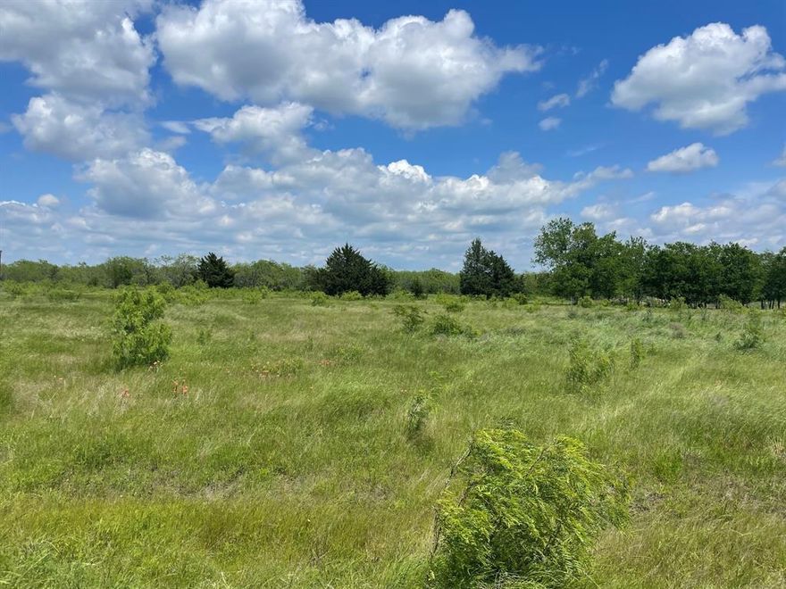 2 Acres south of Corsicana. This is a great get-away property, or for building your house, barndominium, or tiny
house. Imagine it.. your style, your preference, and this land is the white canvas for it. Nice property south ofCorsicana on CR 2400,  2 lots next to each other can combined for a total of 4 acres,  or 3 lots for a total of 5.5 acres.  Seller Financing Available.
