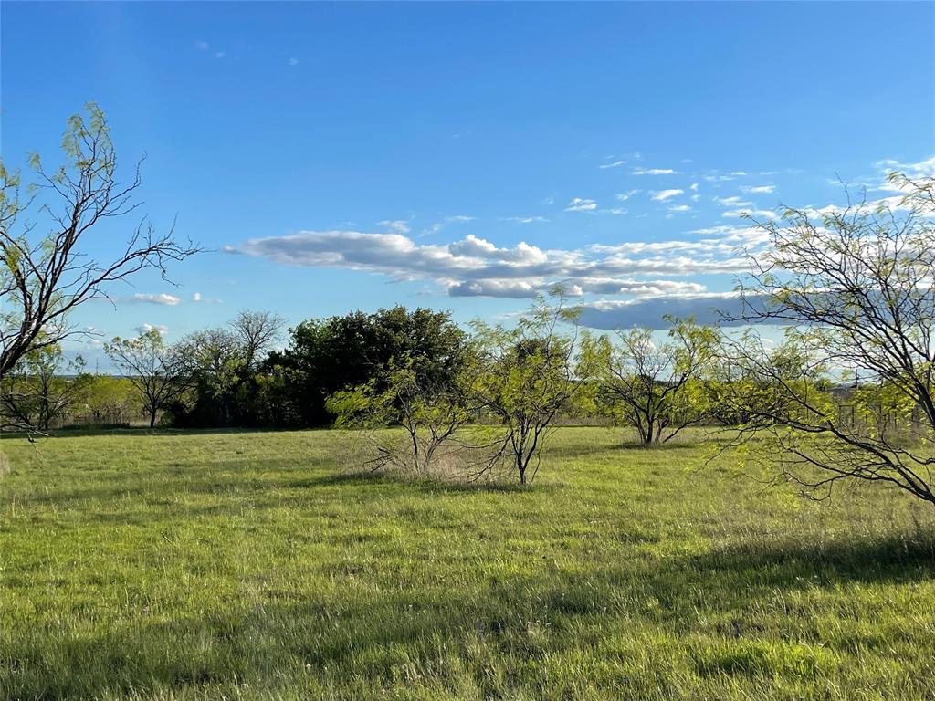 View Brock, TX 76087 land