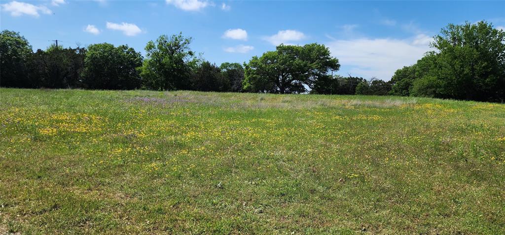 277 County Road 1526