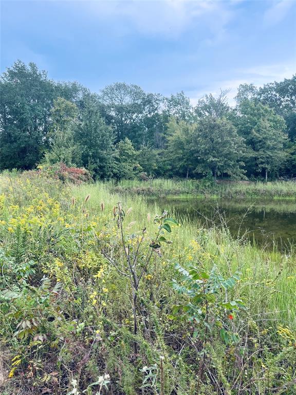 Lot 5 County Road 2310