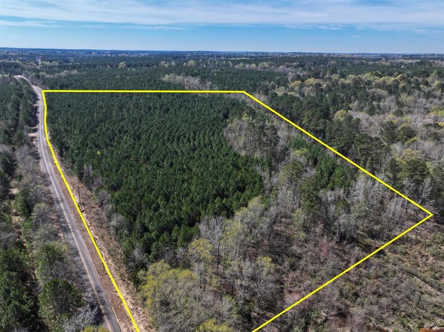 This first time open market offering is situated in the quiet village of Rodessa, Caddo Parish, Louisiana. Historically managed timber tracts currently planted in varying ages of pre-merchantable pine plantations (2014-2016). Attractive size and shaped tracts offer high recreational residential value and privacy. Tracts vary in size from 8 to 81 acres. Easily accessed from low traffic blacktop roads. Good topography and drainage. Located close to the borders of Texas, Louisiana and Arkansas. Electricity available along United Gas Road 1 and Rodessa State Line Road (LA 168 CR 4561).