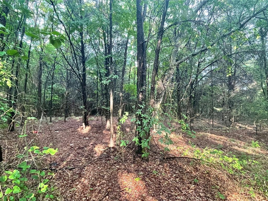 Woodruff Ranchetts Sub Sec 2 - Land