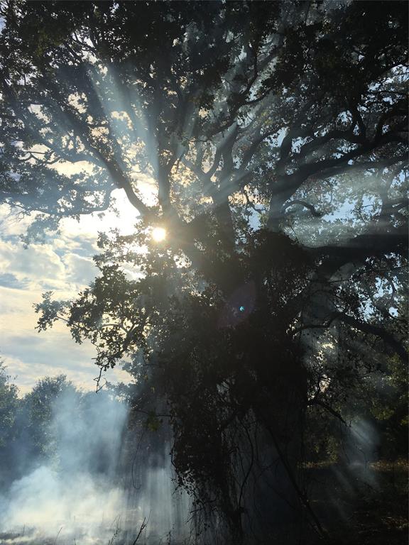 Woodruff Ranchetts Sub Sec 2 - Land