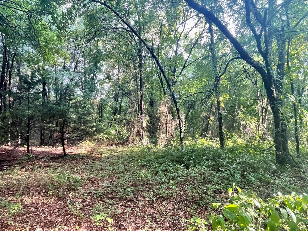 Woodruff Ranchetts Sub Sec 2 - Land