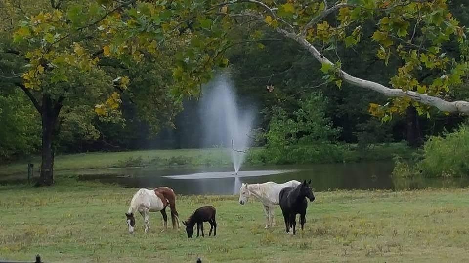 Continental Park Estates Add - Residential