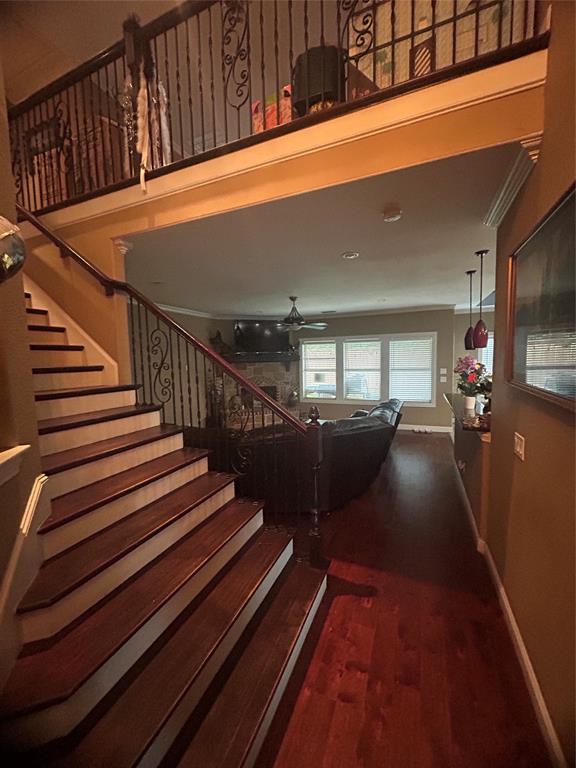 1425 Amherst Drive