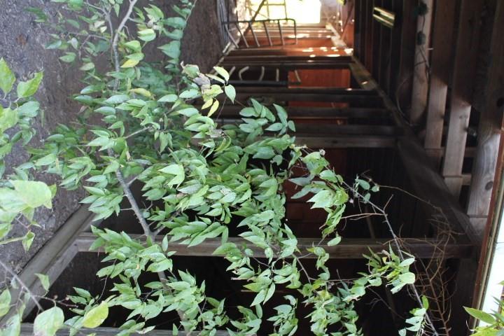 Plainview Ranch Estates - Residential