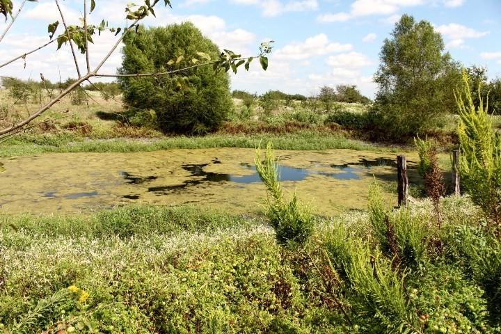 Plainview Ranch Estates - Residential