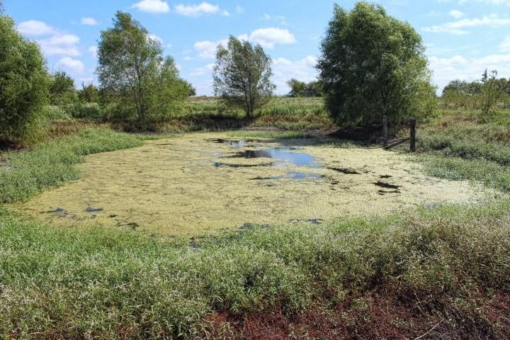 Plainview Ranch Estates - Residential