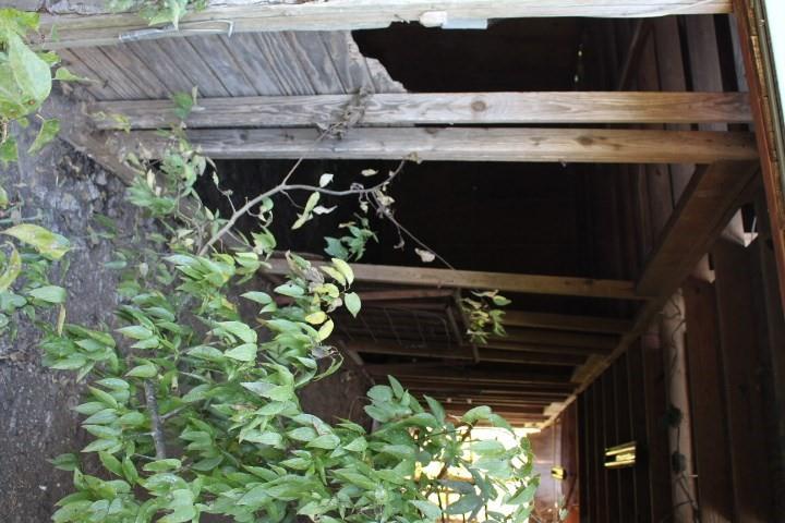 Plainview Ranch Estates - Residential