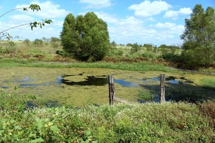 Plainview Ranch Estates - Residential