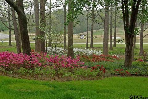 1670 Pineview Lane Hideaway TX 75771