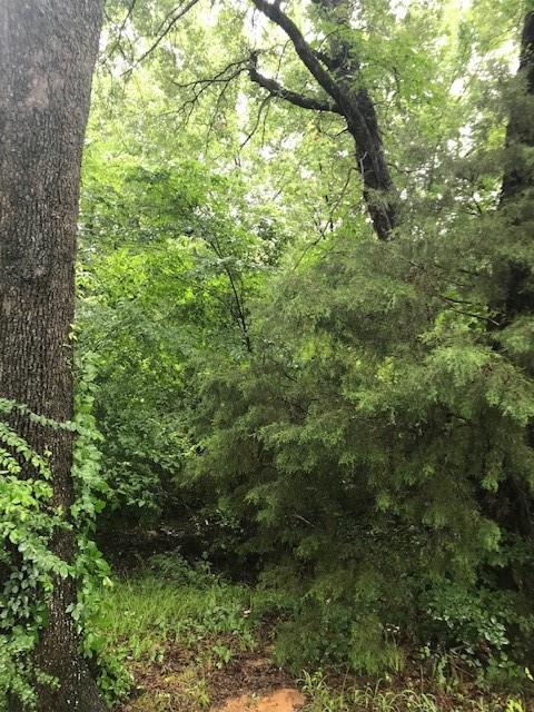 Lakeview Acres - Residential