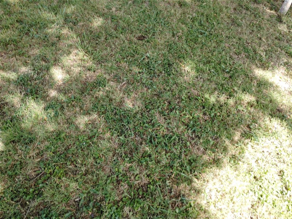 P J ALLEN - Commercial Lease