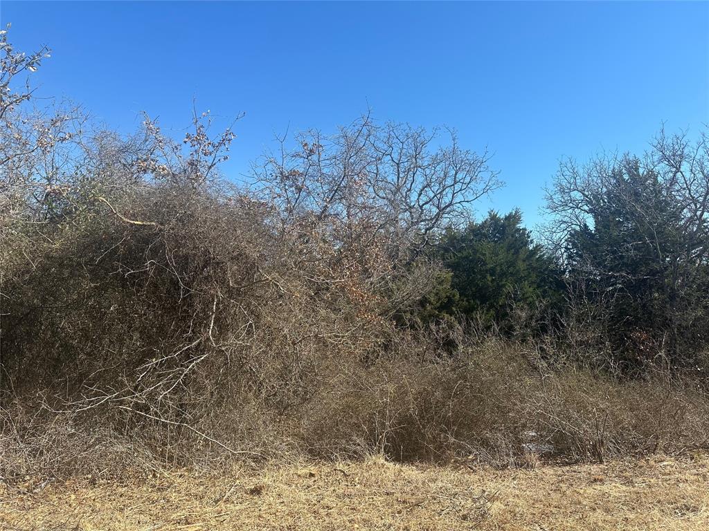 Land of Goshen - Land