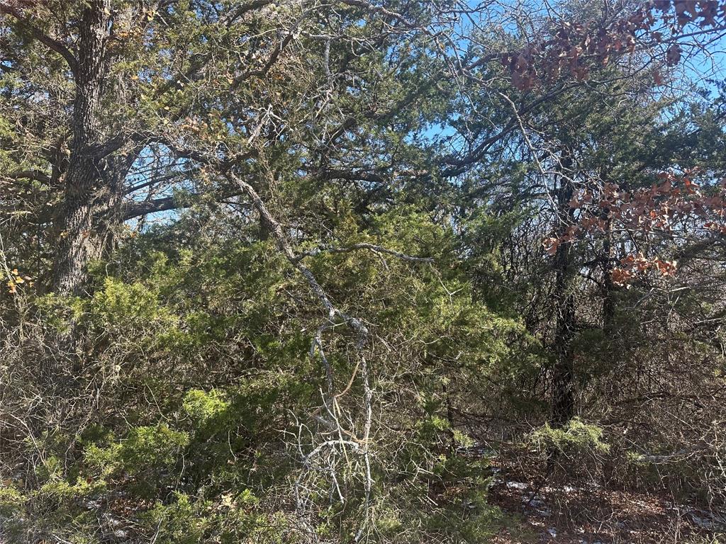 Land of Goshen - Land