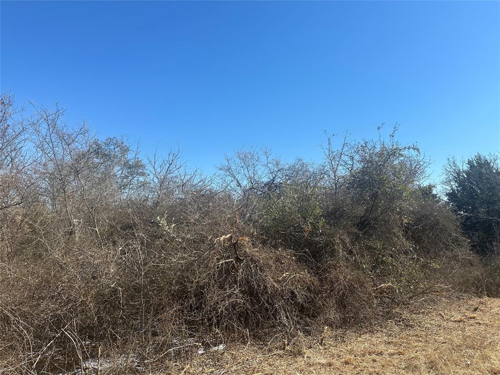 Land of Goshen - Land